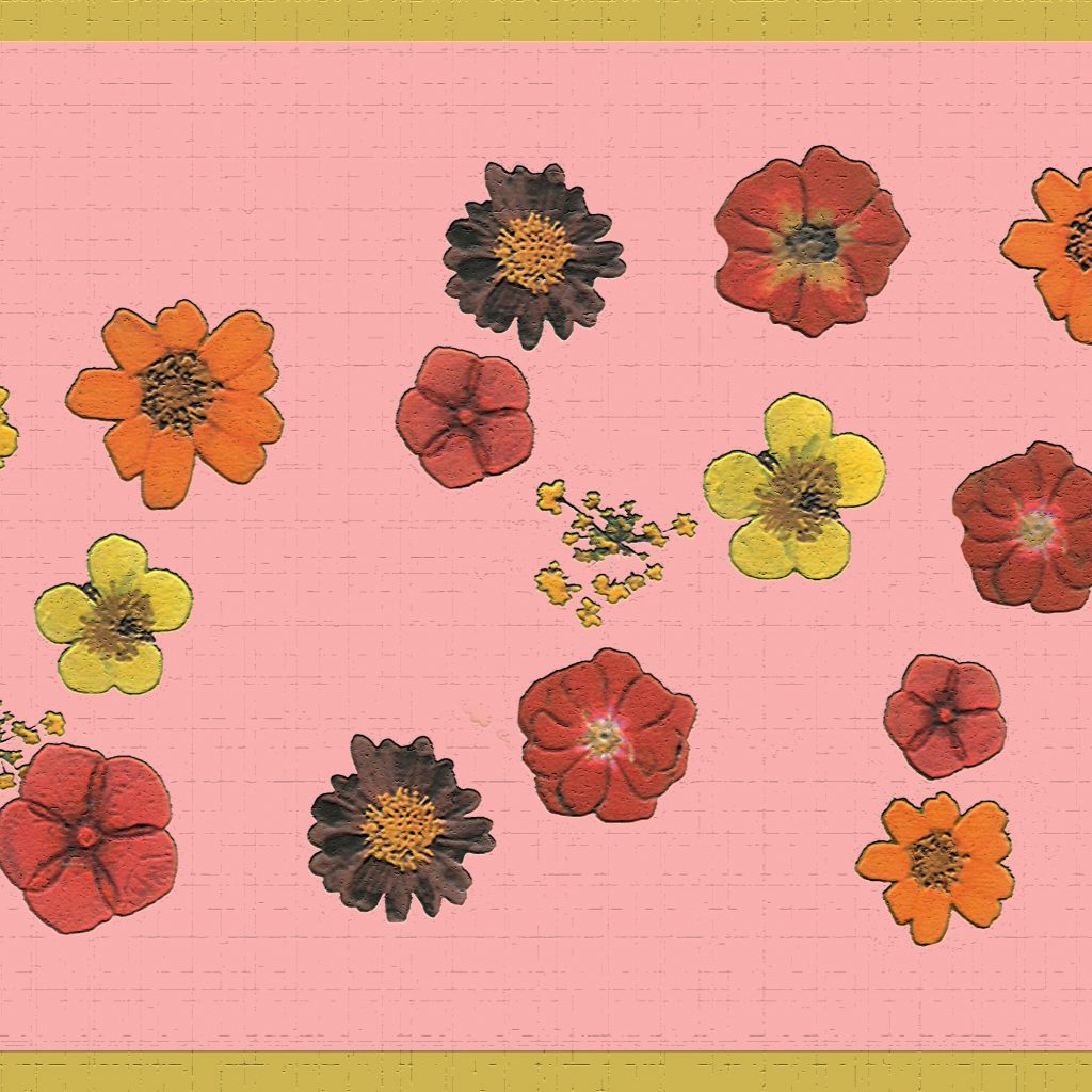 Floral Pink Yellow Red Flowers Wall Border Retro Design