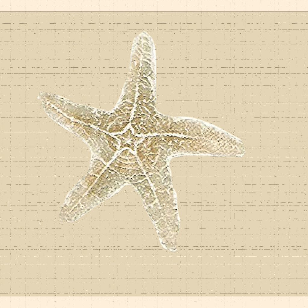 Nautical Cream Beige Seahorse Shells Starfish Wall Border Retro Design
