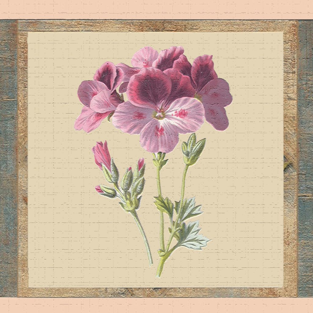 Floral Pink Purple Yellow Flowers in squares Wall Border Retro Design