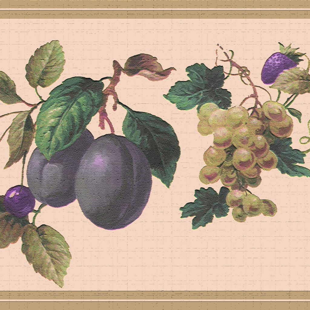 Fruits Purple Green Apple Pear Grape Wall Border Retro Design