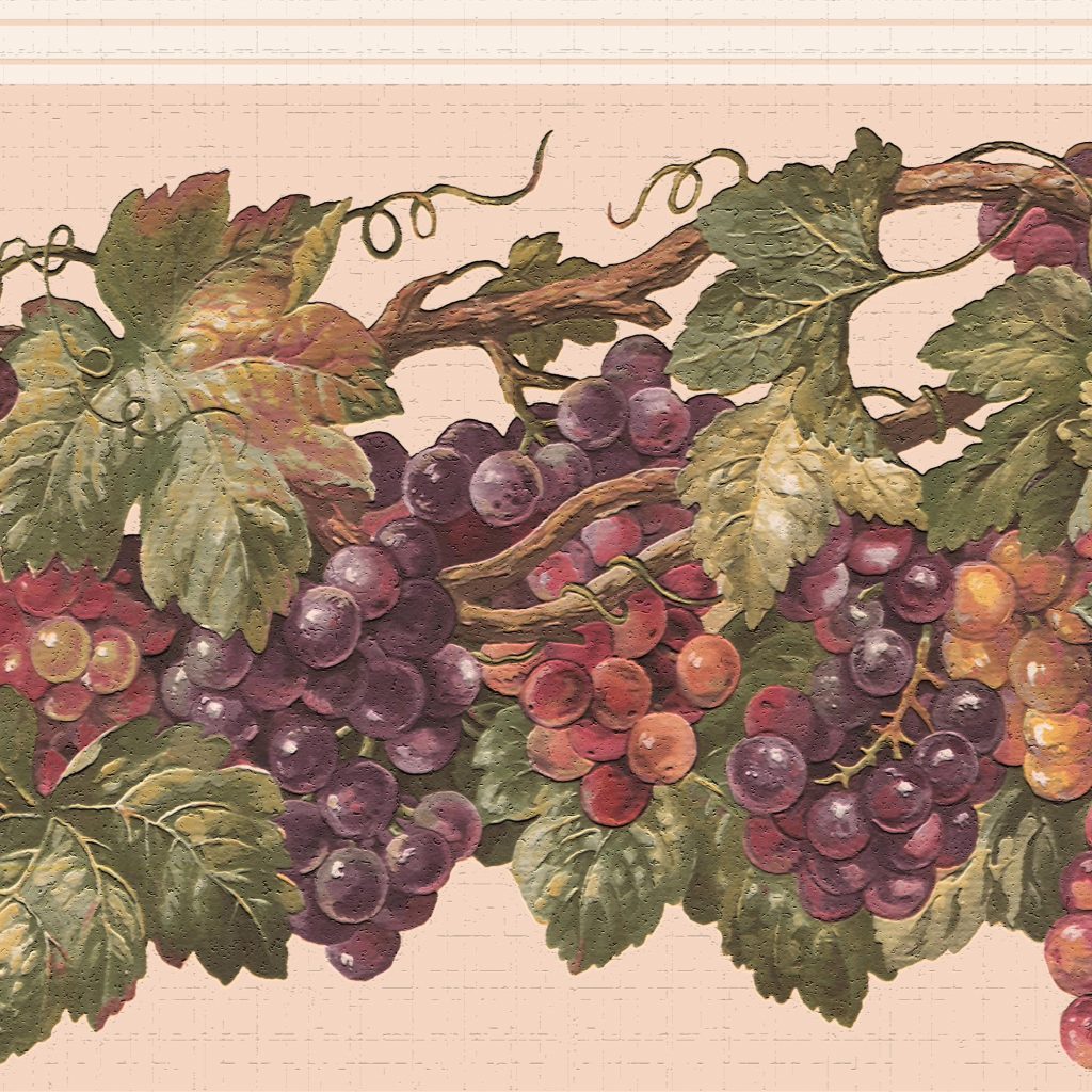 Fruits Green Maroon Grape Vine Wall Border Retro Design