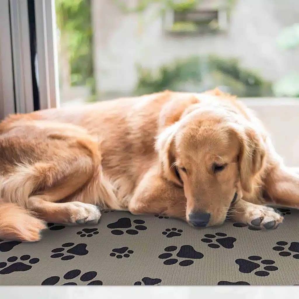 Non-slip dog paw floor mat for indoor use