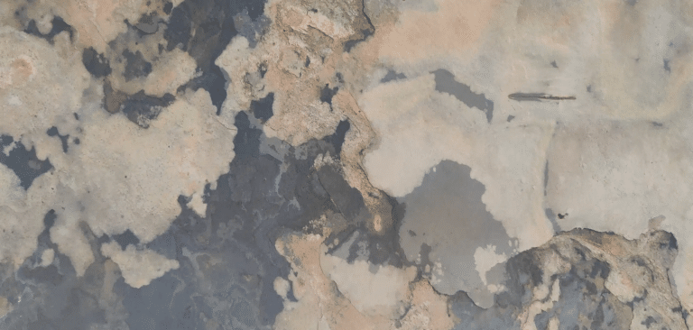 Peel & Stick Stone Veneer Wall Panels