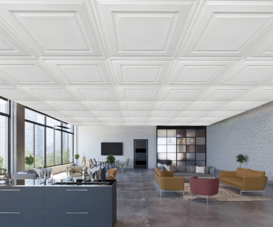 image6 open area with decorative ceiling tiles