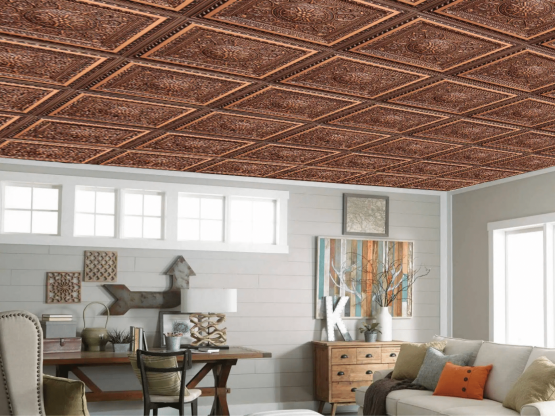 living area with decorative ceiling