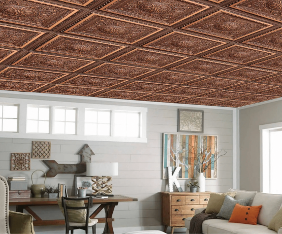 image9 living area with decorative ceiling